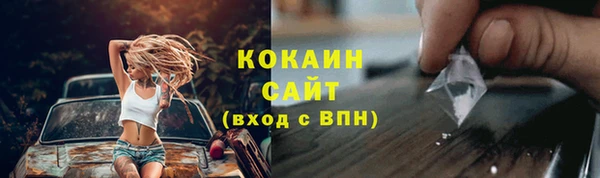 МДПВ Вяземский