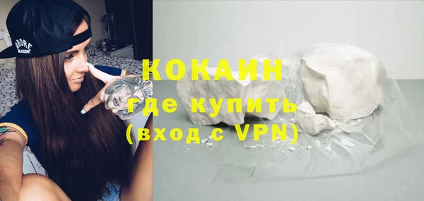 МДПВ Вяземский