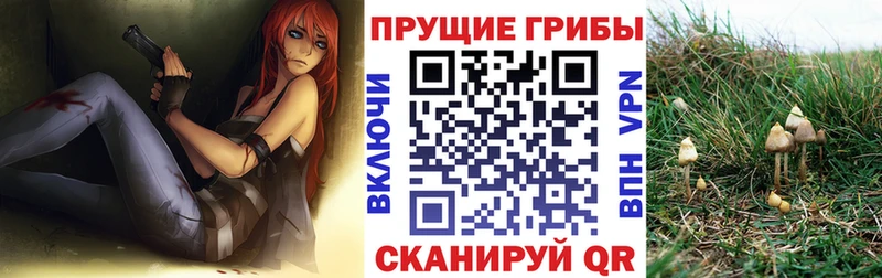 Псилоцибиновые грибы Magic Shrooms  магазин    Зима 
